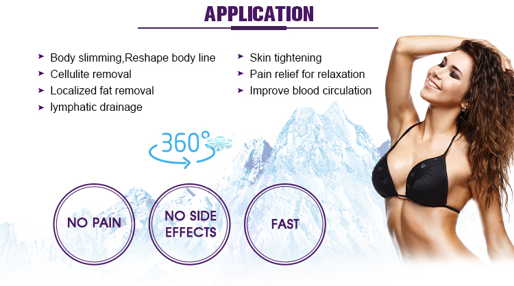 Fat Freezing Weight Loss Cryolipolysis Body Slimming Machine US601N-4