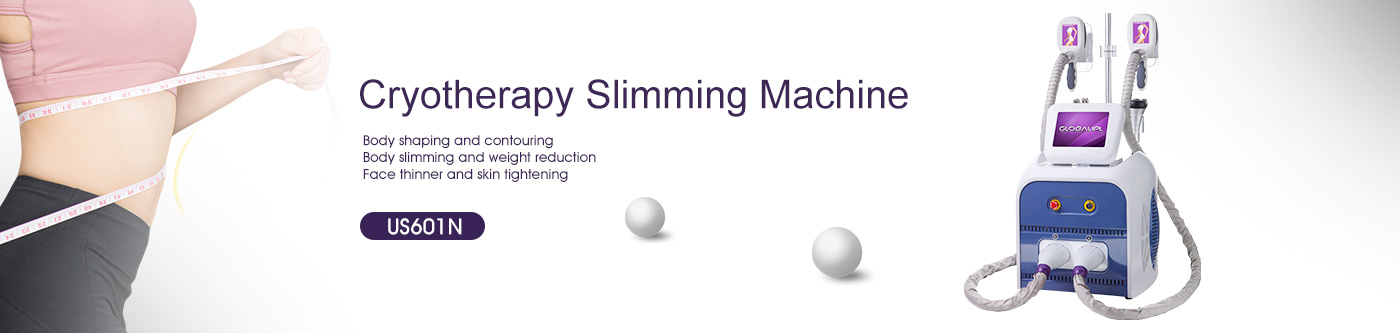 4 in 1 Cryolipolysis Slimming Machine US601N