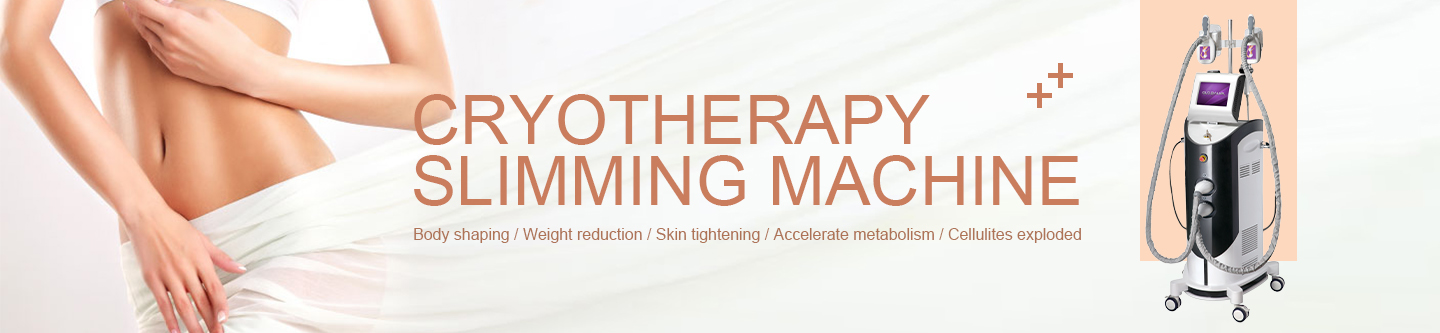Multi-function Cryotherapy Slimming Machine US09